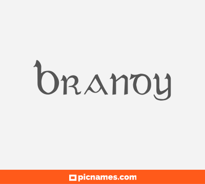 Brandy