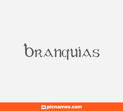 Branquias