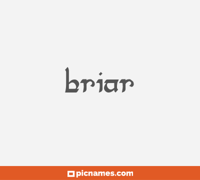 Briar