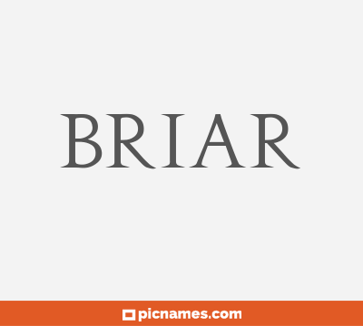 Briar