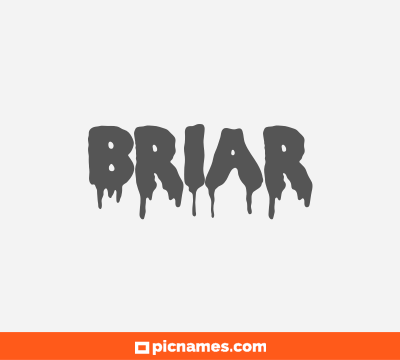 Briar