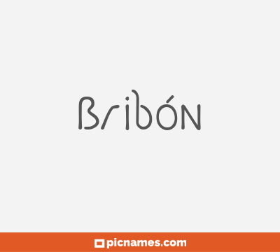 Bribón