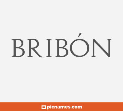 Bribón