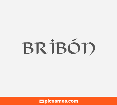 Bribón