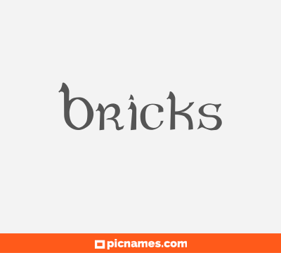 Bricks