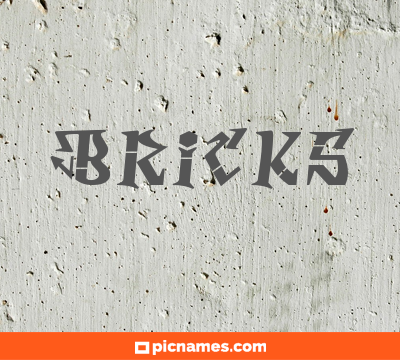 Bricks