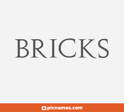 Bricks