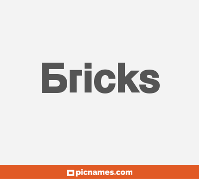 Bricks