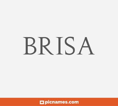 Brisa