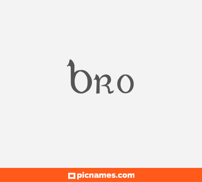 Bro