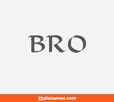 Bro