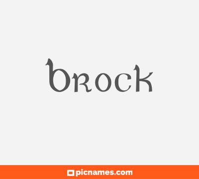 Brock