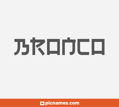 Bronco