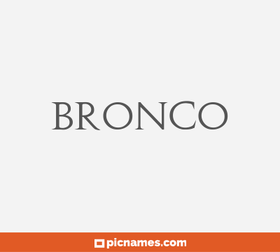 Bronco