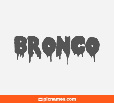 Bronco