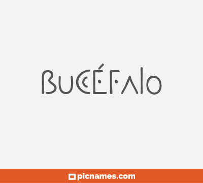 Bucéfalo