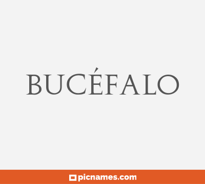 Bucéfalo