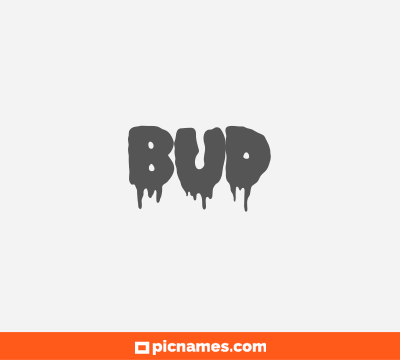 Bud