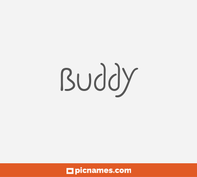 Buddy