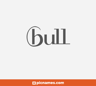 Bull