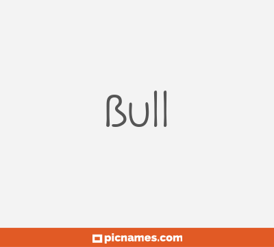 Bull