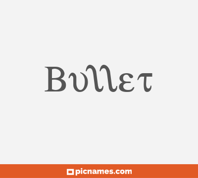 Bullet