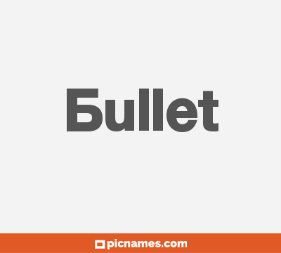 Bullet