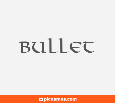 Bullet