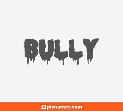 Bully