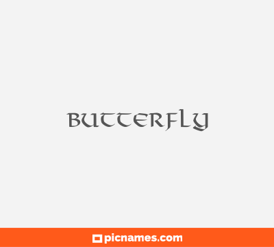 Butterfly