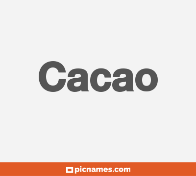 Cacao