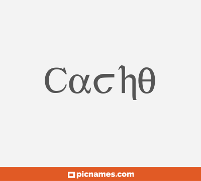 Cacho