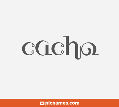 Cacho