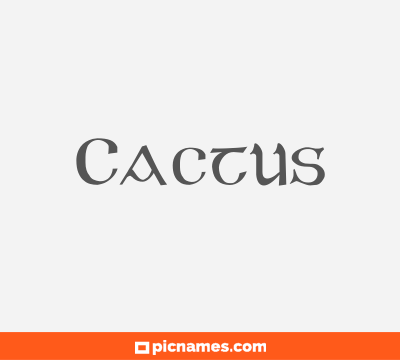 Cactus