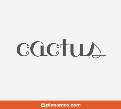 Cactus