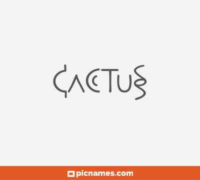 Cactus