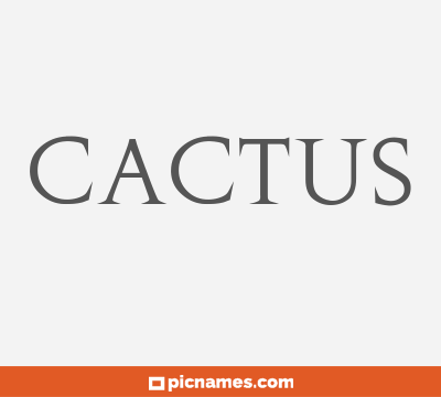 Cactus