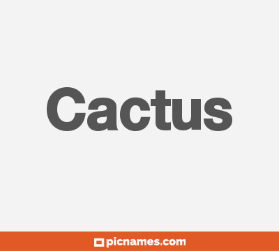 Cactus