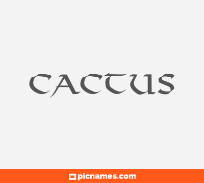 Cactus