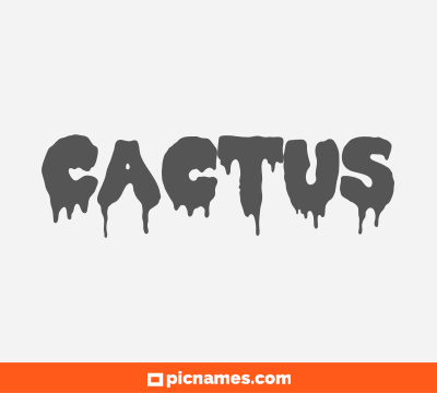 Cactus