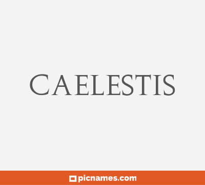 Caelestis