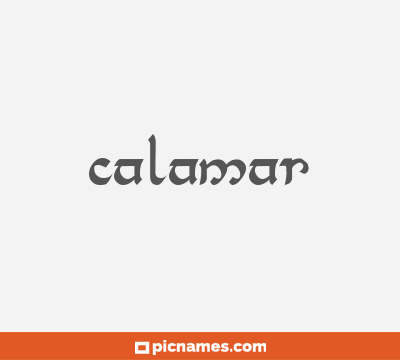 Calamar