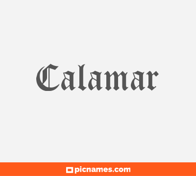 Calamar