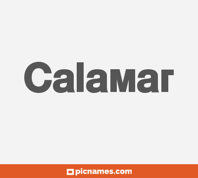 Calamar