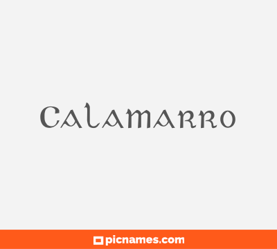 Calamarro