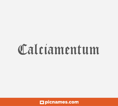 Calciamentum