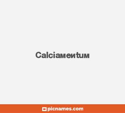 Calciamentum