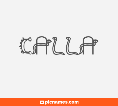 Calla
