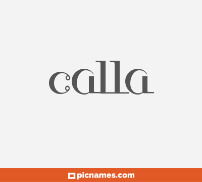 Calla