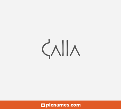 Calla